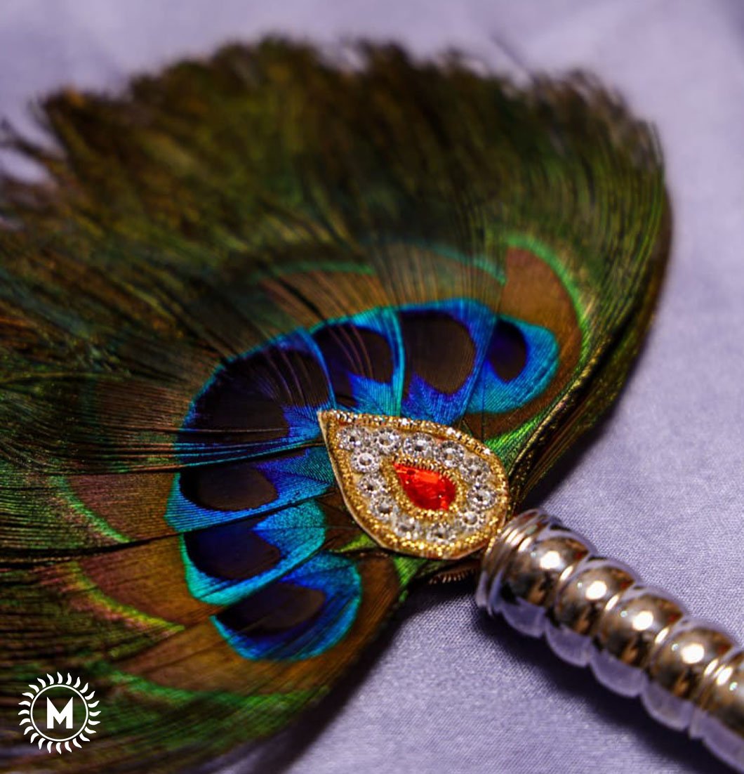 Peacock Feather With Silver